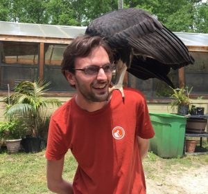 Robert Driver at Sylvan Heights Bird Park with vulture on shoulder